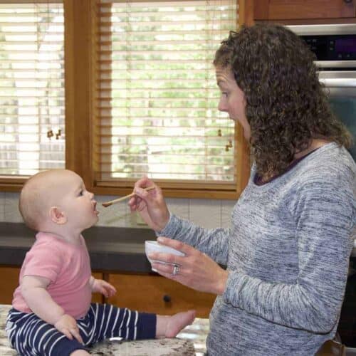 Natural Baby Food A Book Review Steamed Cherry Puree For Babies