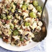 Chicken Salad with Grapes served in a white bowl