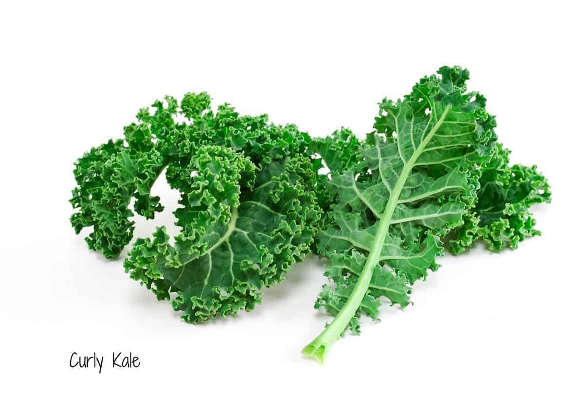 leaves of curly kale