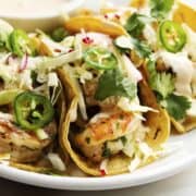 Grilled Shrimp Tacos served on a white platter