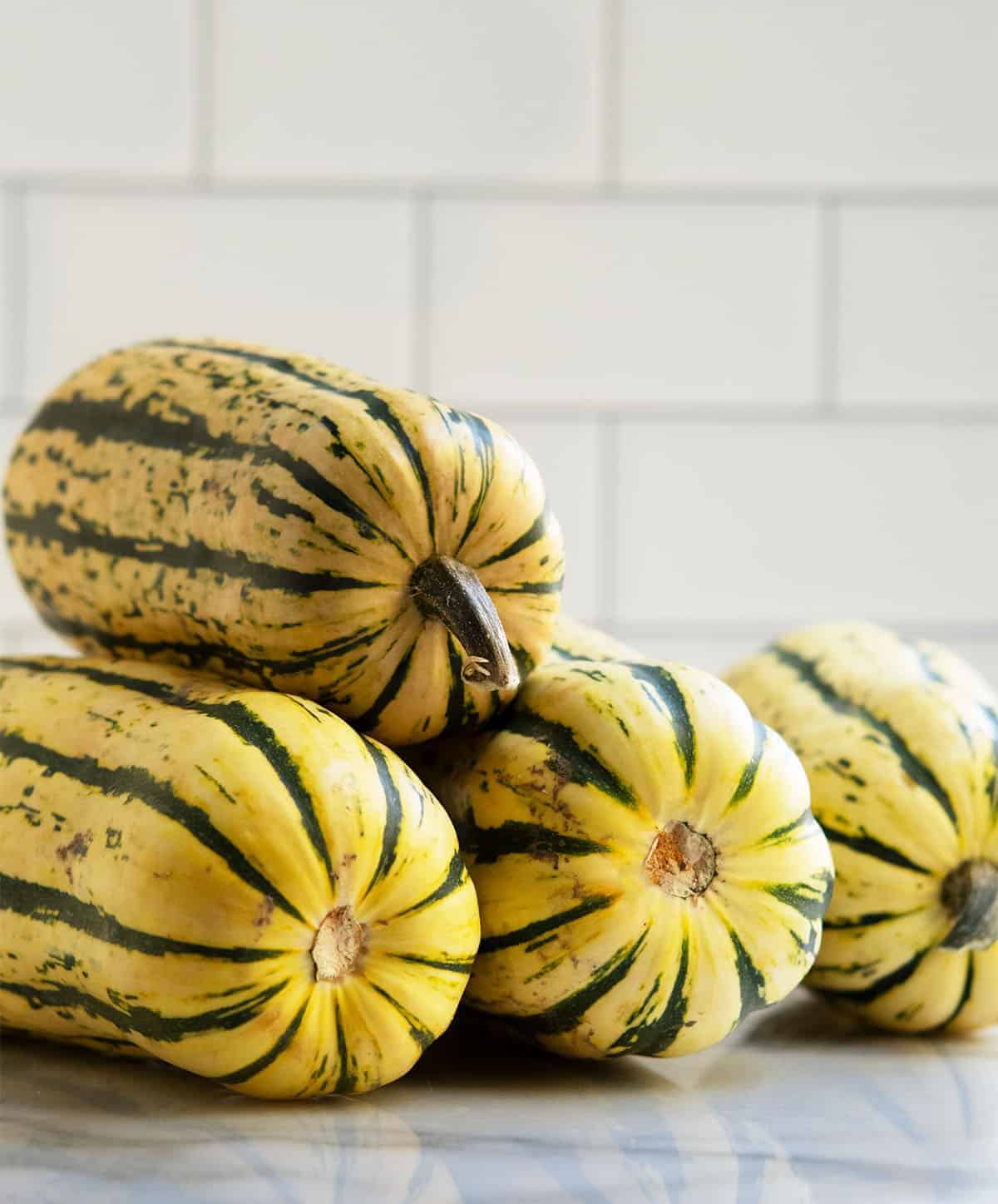 Striped Zucchini Squash