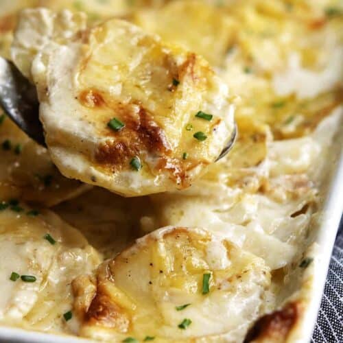 Gratin Dauphinois (Potato Gratin) Pinch and Swirl