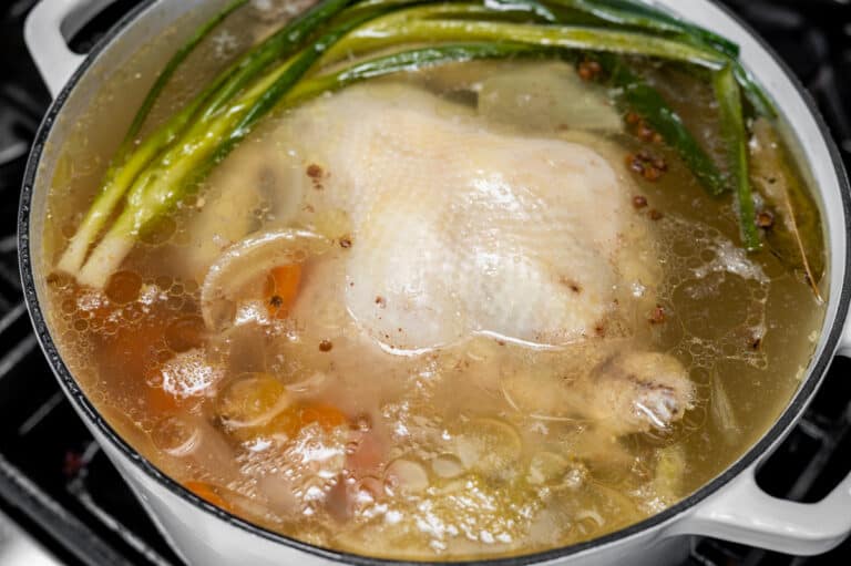 Spicy Chicken Noodle Soup Pinch and Swirl