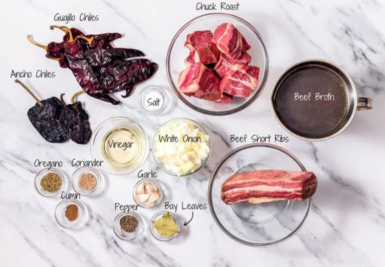 Easy Slow Cooker Birria de Res Pinch and Swirl