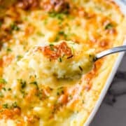 A scoop of Cheesy Mashed Potatoes with a white baking dish full of them below.
