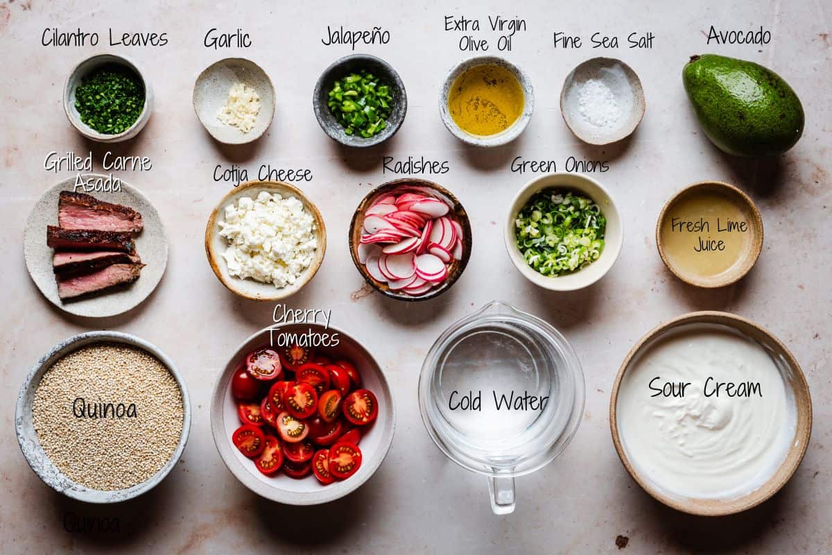 A flat lay of Carne Asada Bowl ingredients for a dish: cilantro leaves, garlic, jalapeño, olive oil, sea salt, avocado, grilled carne asada, cotija cheese, radishes, green onions, lime juice, quinoa, cherry tomatoes, cold water, and sour cream.