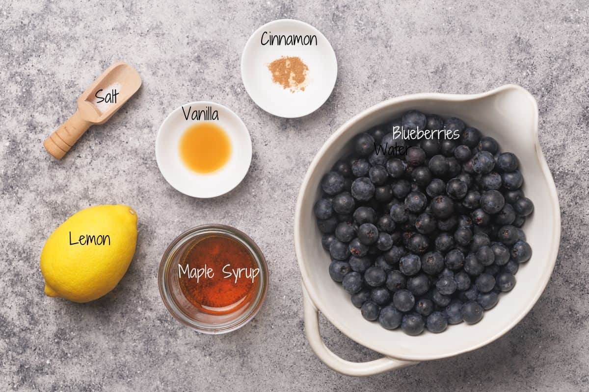 A bowl of blueberries sits on a gray countertop, surrounded by a lemon, a small wooden scoop of salt, a dish of cinnamon, a dish of vanilla, and a jar of maple syrup. Each ingredient is labeled.