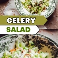 Two patterned bowls filled with celery salad, garnished with slivered almonds and grated cheese, placed on a rustic surface. The salad features sliced celery, herbs, and appears fresh and vibrant. Text reads "Celery Salad.